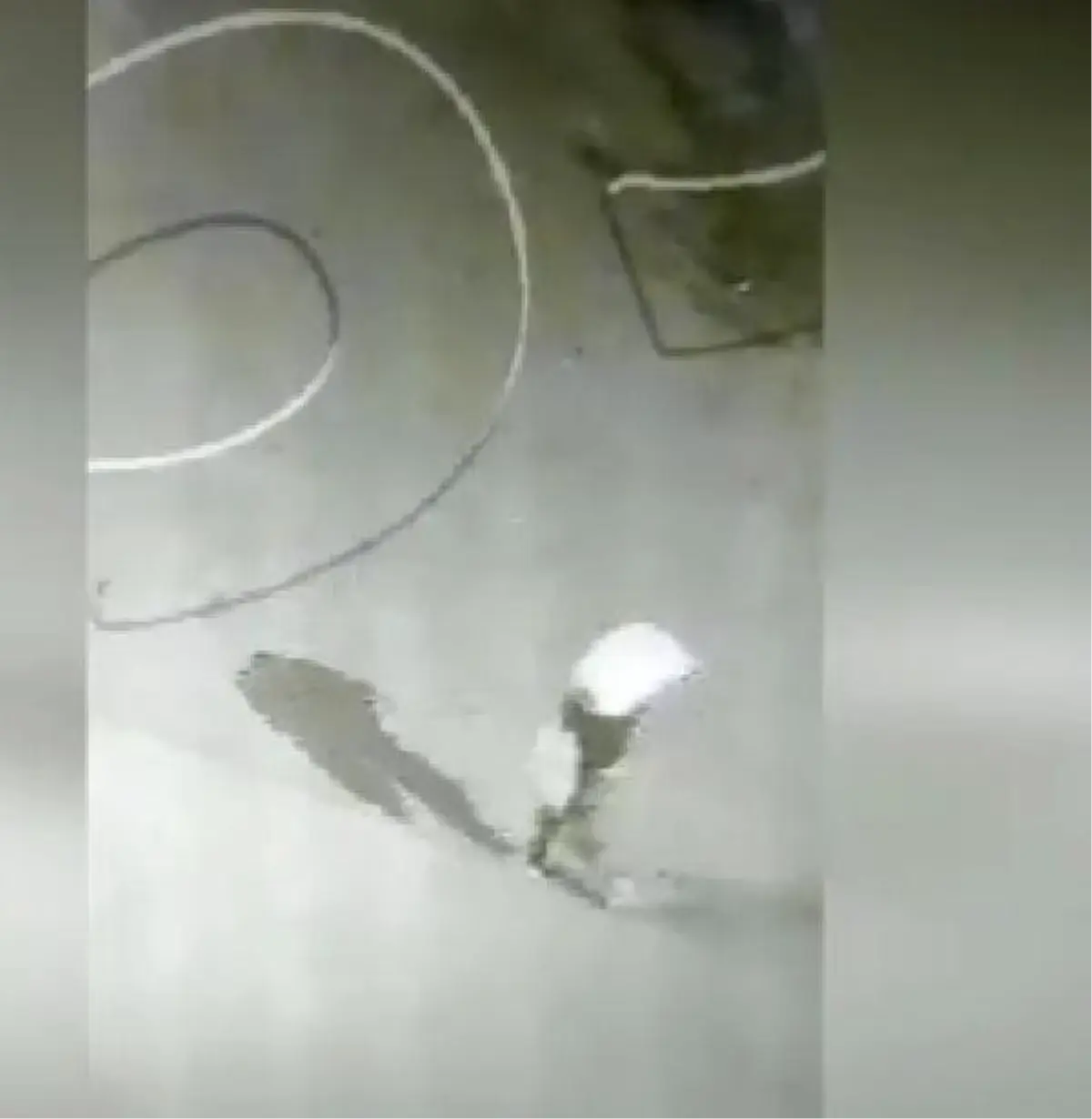 Son dakika haberi! Hırsızlık şüphelisi güvenlik kamerası görüntülerinden yakalandı