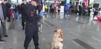 Jandarma Genel Komutanı Orgeneral Çetin, Karayolu Trafik Haftası etkinliğine katıldı