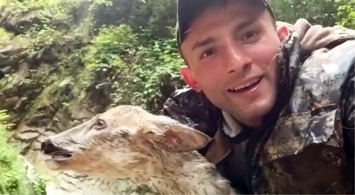 Şelalede mahsur kalan karacayı vatandaş kurtardı