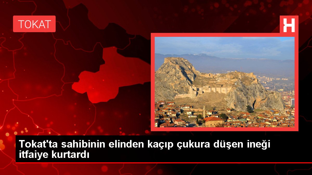 Tokat'ta sahibinin elinden kaçıp çukura düşen ineği itfaiye kurtardı