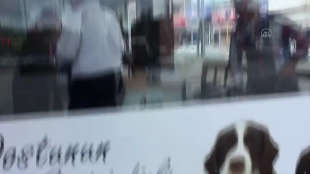 Veteriner kliniği camının evcil hayvan sahibince taşla kırıldığı iddiası