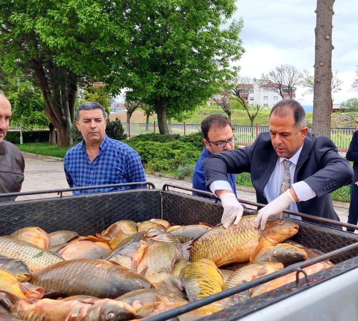 Elazığ\'da kaçak avlanan 500 kilogram balık yakalandı