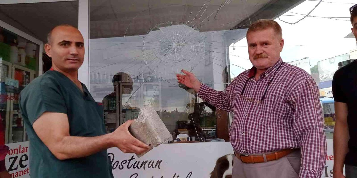 Son dakika haber! Kuşu öldü, veteriner hekime saldırdı