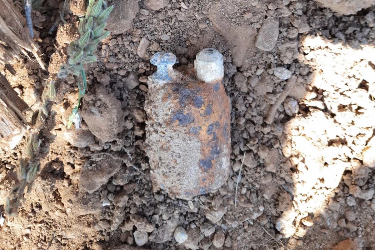 Manisa\'da ormanlık arazide patlamamış el bombası bulundu
