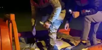 Van'da kaçak avlanmış 1 ton inci kefali ele geçirildi