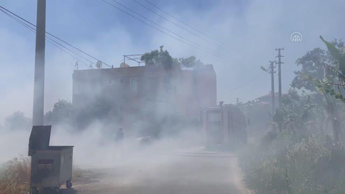 Alanya'da arazide çıkan ot yangını muz bahçelerine sıçramadan söndürüldü