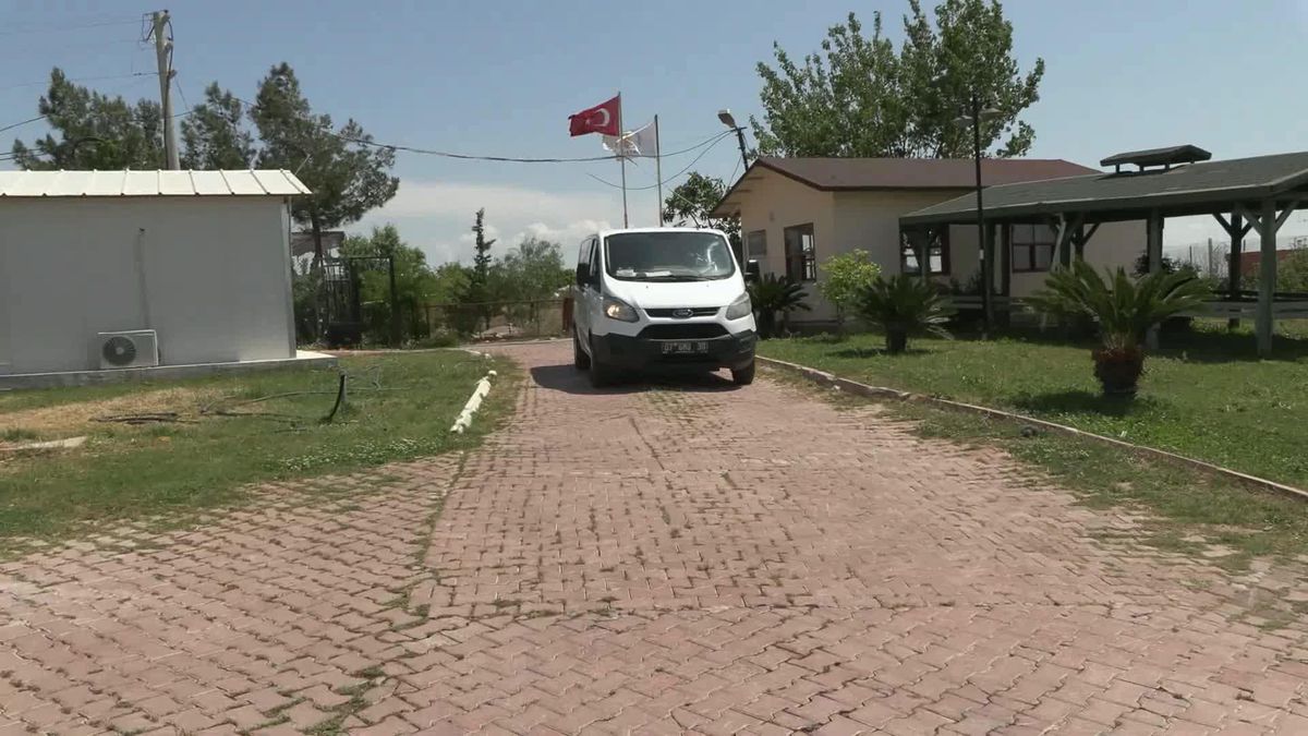 Kamyonet arkasında sürüklenen köpek tedaviye alındı, sürücüye 196 lira ceza