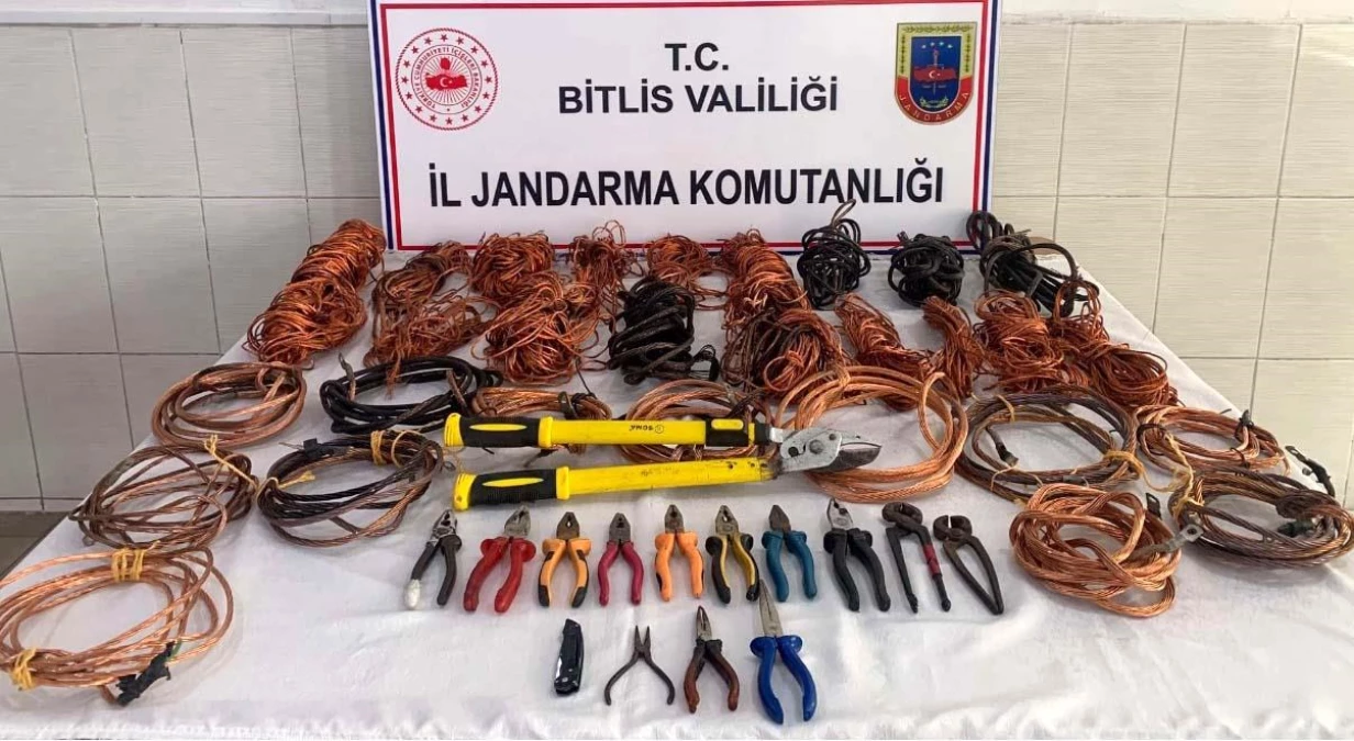 Bitlis\'te hırsızlık yaptıkları iddia edilen 8 zanlı yakalandı