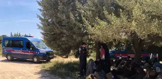 Çeşme'de 35 düzensiz göçmen yakalandı
