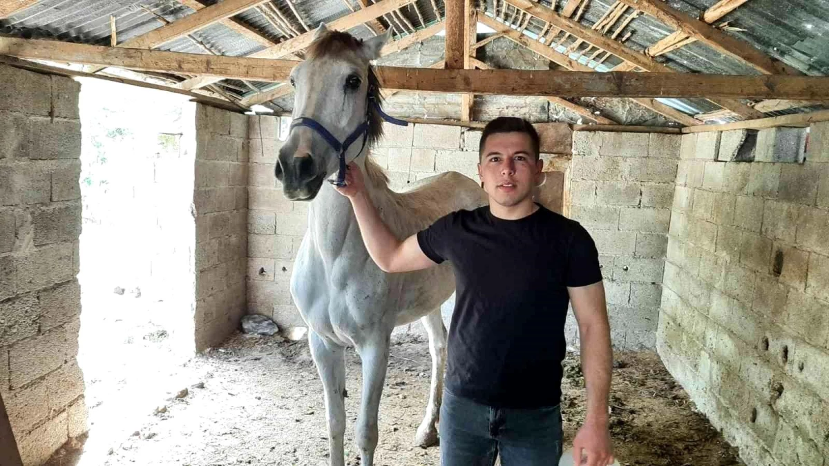 Çocukluk hayali olan yarış atını aldı ona şiirler yazıp okuyor