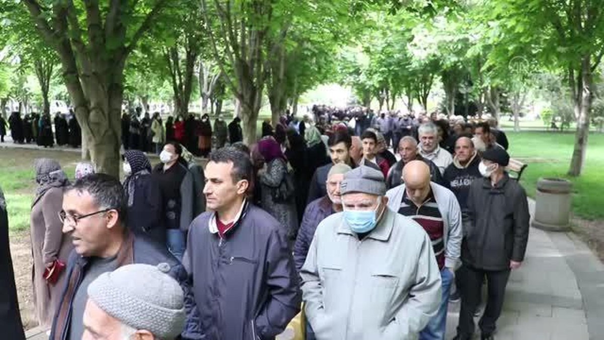 İlçe belediyesi 500 bin organik fide dağıttı