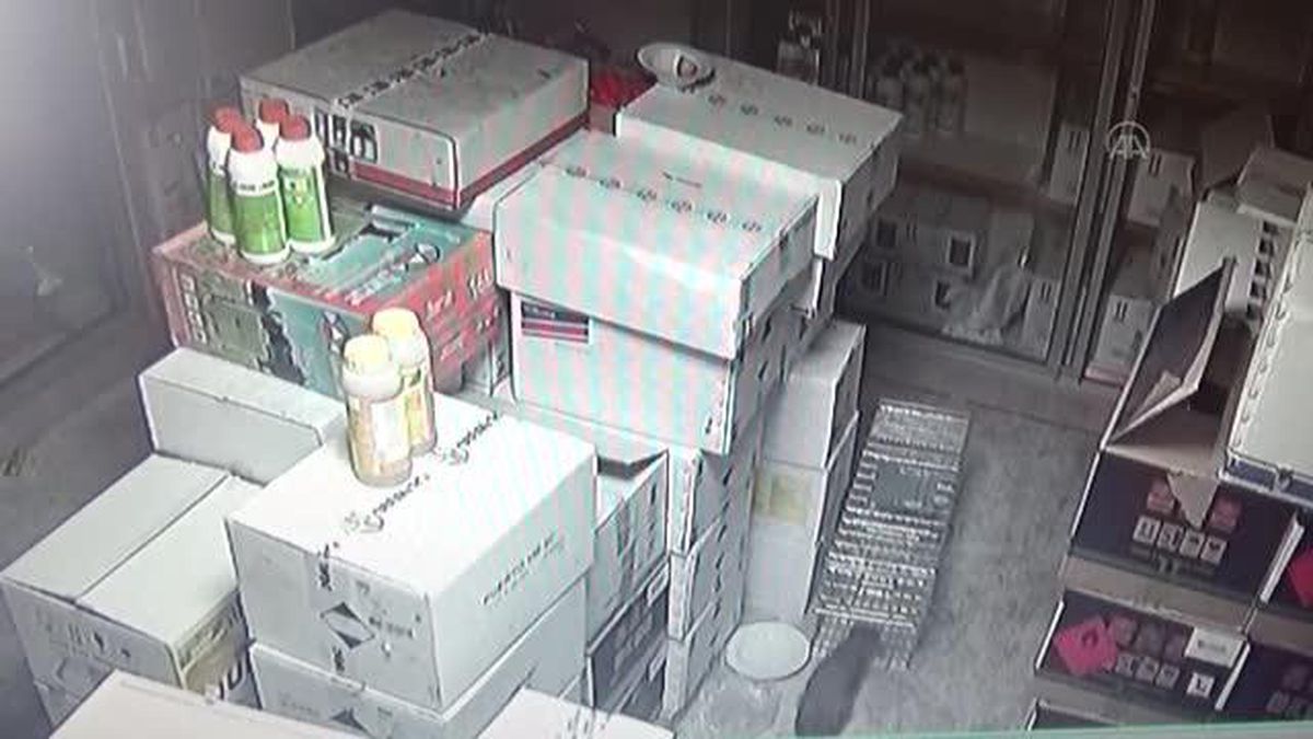 İş yerine giren sansar yakalanarak doğaya bırakıldı