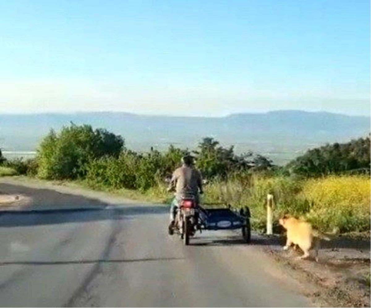 Köpeği motosikletin arkasına bağlayıp sürükledi