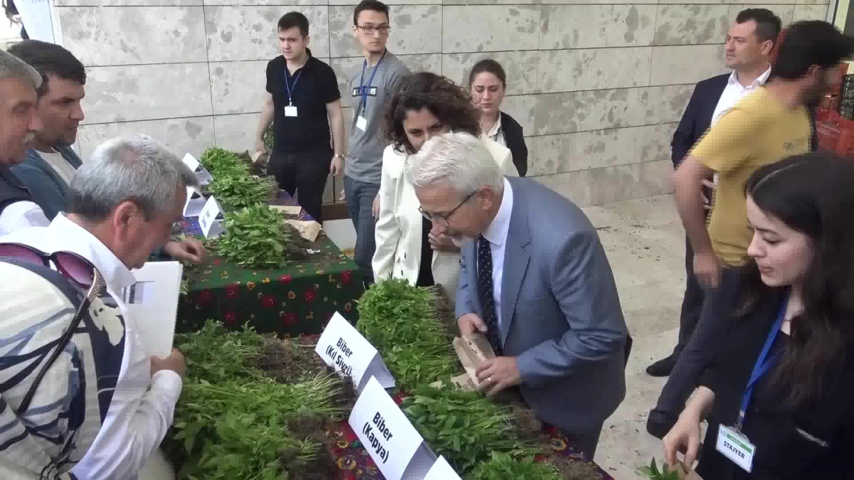 Bursa'da 400 bin fide toprakla buluşacak