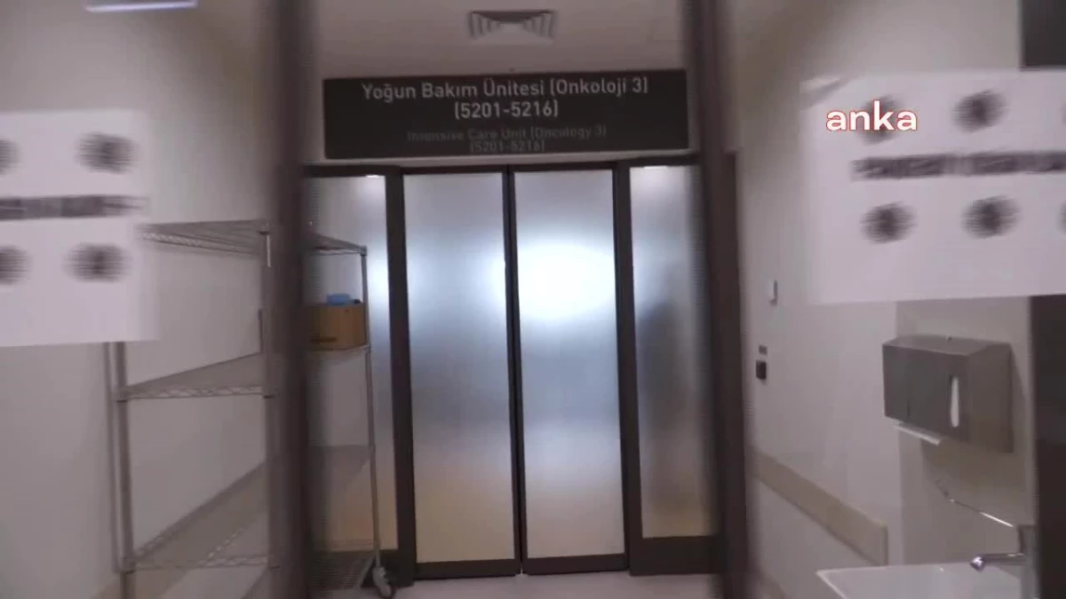 Sağlık Emekçileri Sendikası: '2015 Yılında 115 Dolar Olan, 7 Yıldır Artırılmayan Doğum Yardımı Bugün 20 Dolara İnmiş Durumdadır'