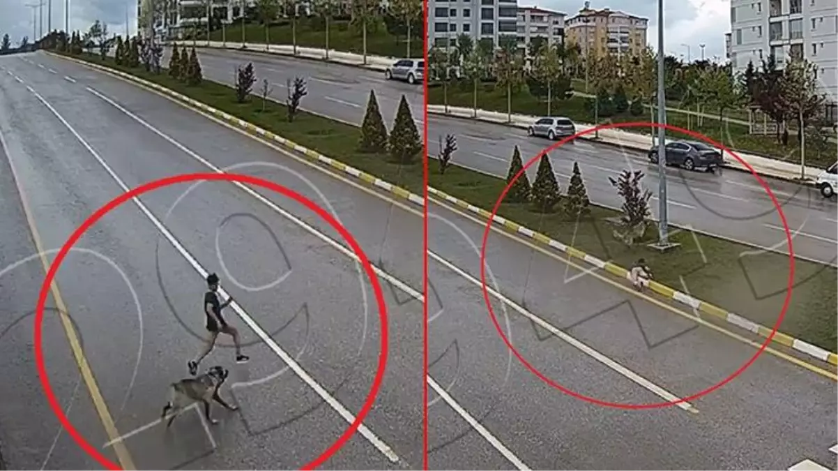 Sahipsiz köpek 14 yaşındaki Metehan'ın dalağını ve böbreğini parçalamıştı! O anların kamera görüntüleri çıktı