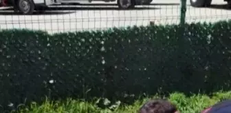 Yavrusu kurtarılana kadar başında bekledi