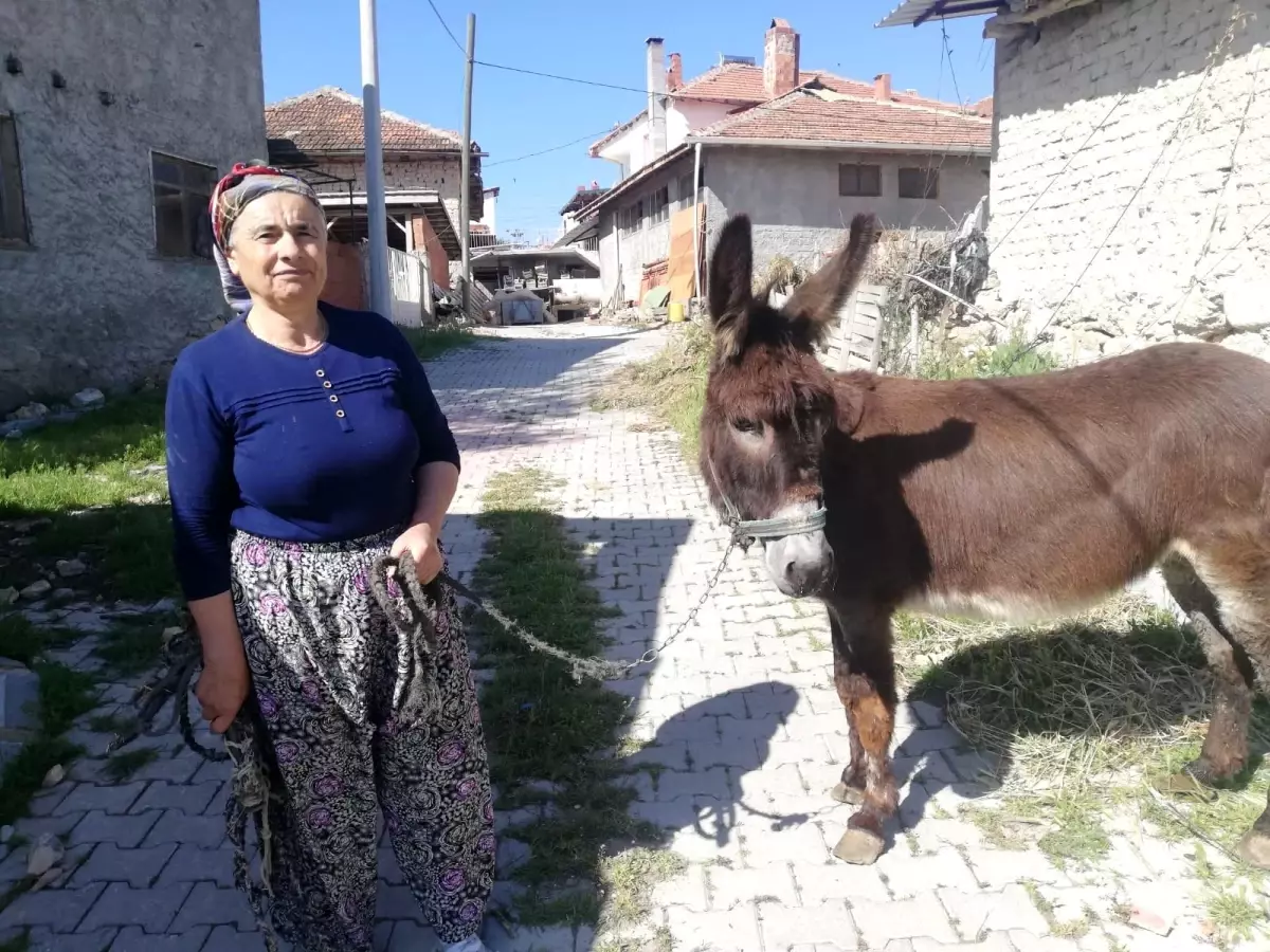 15 yılldır gözü gibi baktığı eşeğine aylar sonra kavuştu