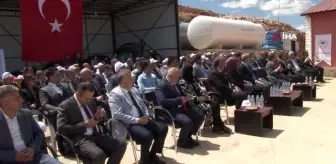 18 ilde 12 milyon yavru sazan suyla buluştu