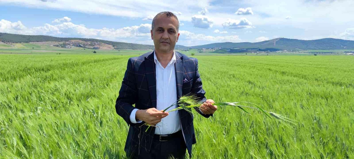 Çetinkaya: "1 metrakare arazimiz bile boş kalmamalı"