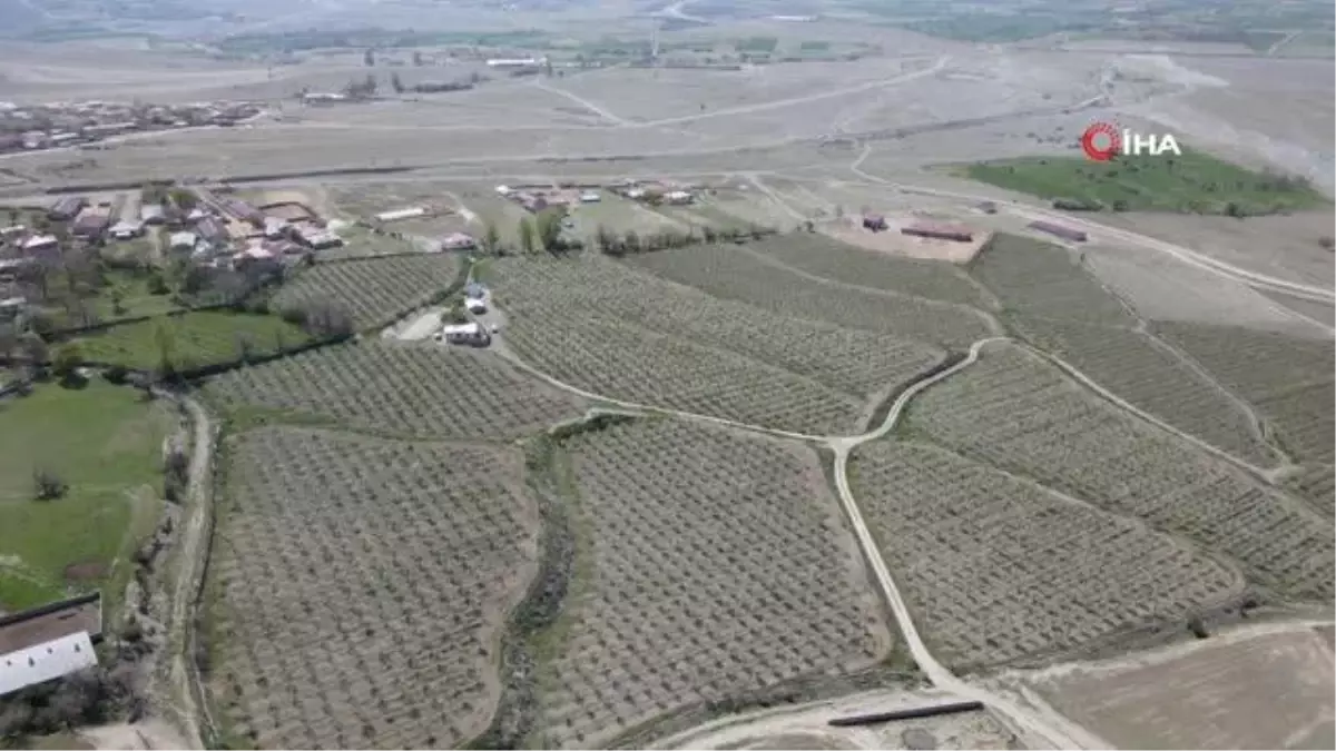 Erzincan\'da beyaz gelinliğini giyen vişne bahçeleri kontrol ediliyor