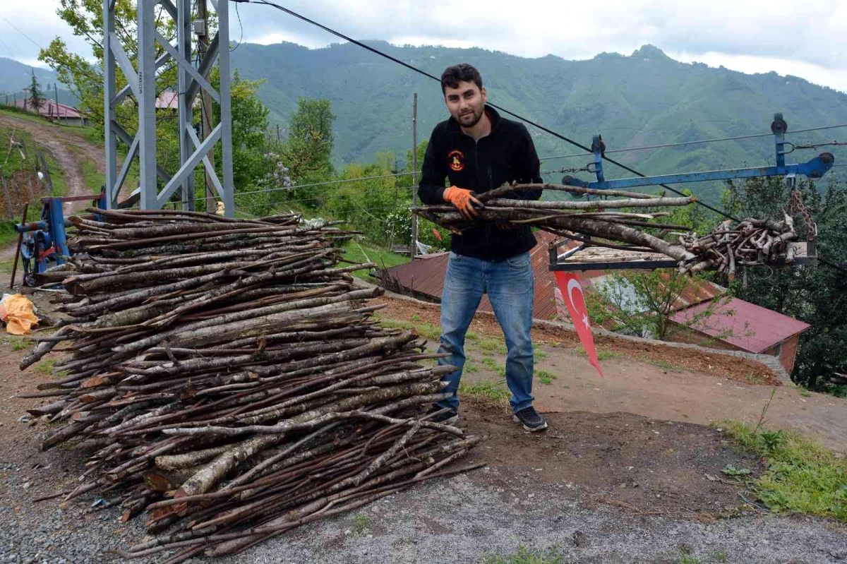 Gelmeyen yaz vatandaşları yakacak derdine düşürdü