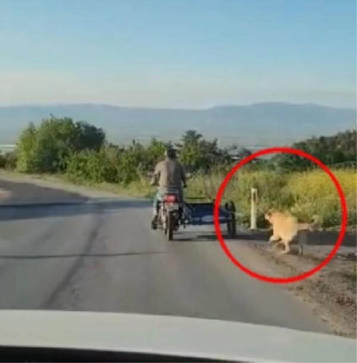 Köpeğini motosikletin arkasına bağlayıp koşturdu; o anlar kamerada