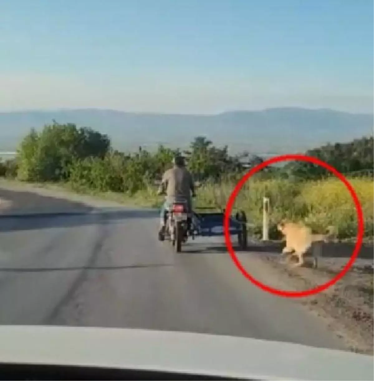 Köpeğini motosikletin arkasına bağlayıp koşturdu; o anlar kamerada