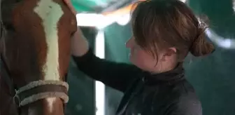 Son dakika haberi | Lviv savaş bölgelerinden kurtarılan atların barınağı oldu