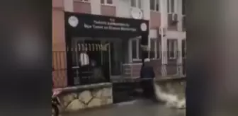 Mersin'de Hayvanları Ölen Çiftçiden Protesto