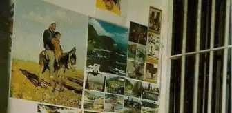 Sol Partili Güzel Hakkında 12 Eylül'de İdam Edilenlerin Fotoğrafını Paylaştığı İçin Açılan Dava Başladı