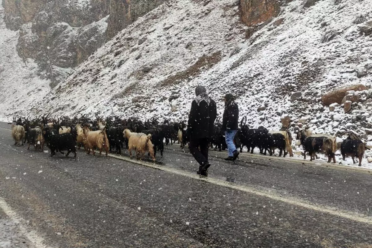 Kar yağışı etkili oldu