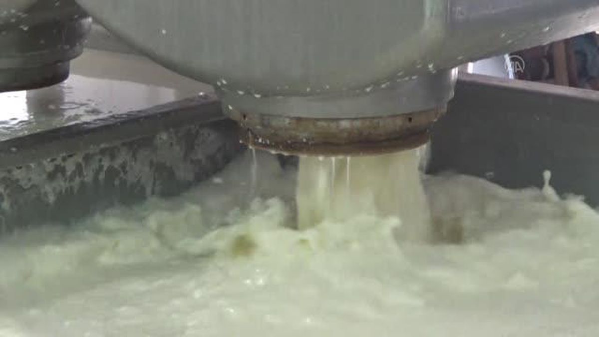 Yüksekova'da üretilen 'Çirek peyniri' coğrafi işaret tescil belgesi aldı