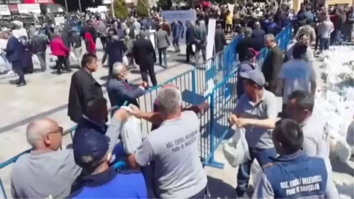 ZONGULDAK - Ata tohumuyla üretilen fidelere vatandaşlardan yoğun talep