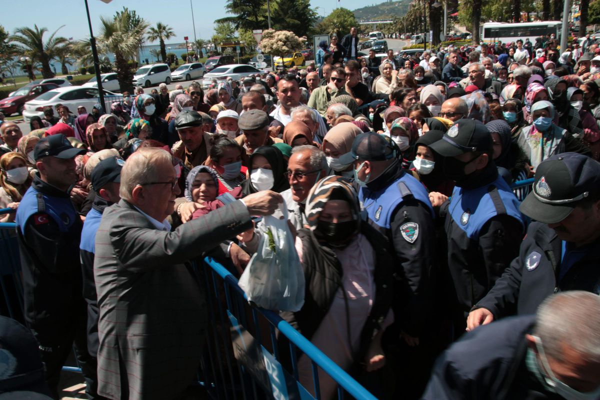 Zonguldak'ta ata tohumuyla üretilen fidelere vatandaşlardan yoğun talep