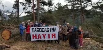 Ayman Yaylası'nda Kurulmak İstenen Taş Ocağı İçin Verilen 'Çed Gerekli Değildir' Kararı İptal Edildi