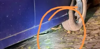 Bandırma'da yılan paniği