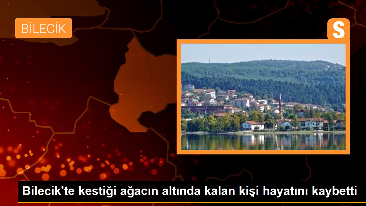 Bilecik\'te kestiği ağacın altında kalan kişi hayatını kaybetti