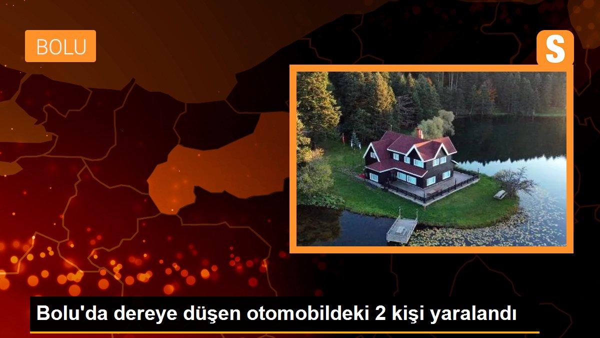 Bolu\'da dereye düşen otomobildeki 2 kişi yaralandı