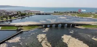 Büyükçekmece Dalyan'da yosun temizliği devam ediyor