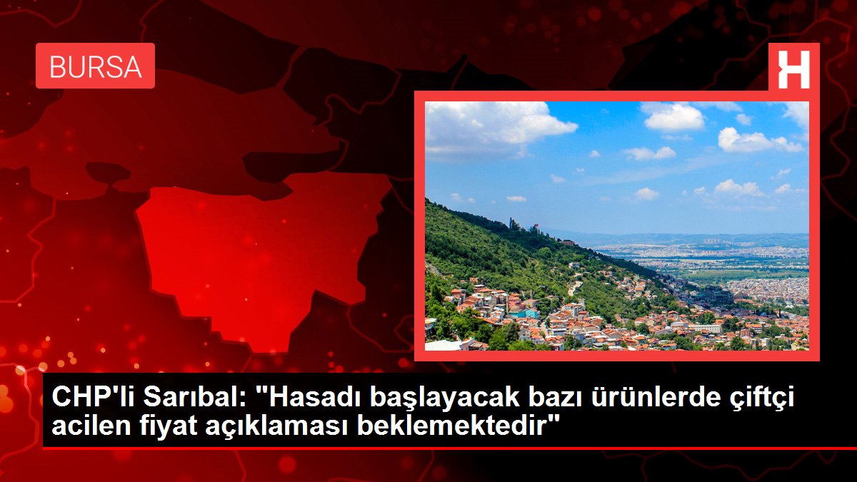 CHP'li Sarıbal: 'Hasadı başlayacak bazı ürünlerde çiftçi acilen fiyat açıklaması beklemektedir'