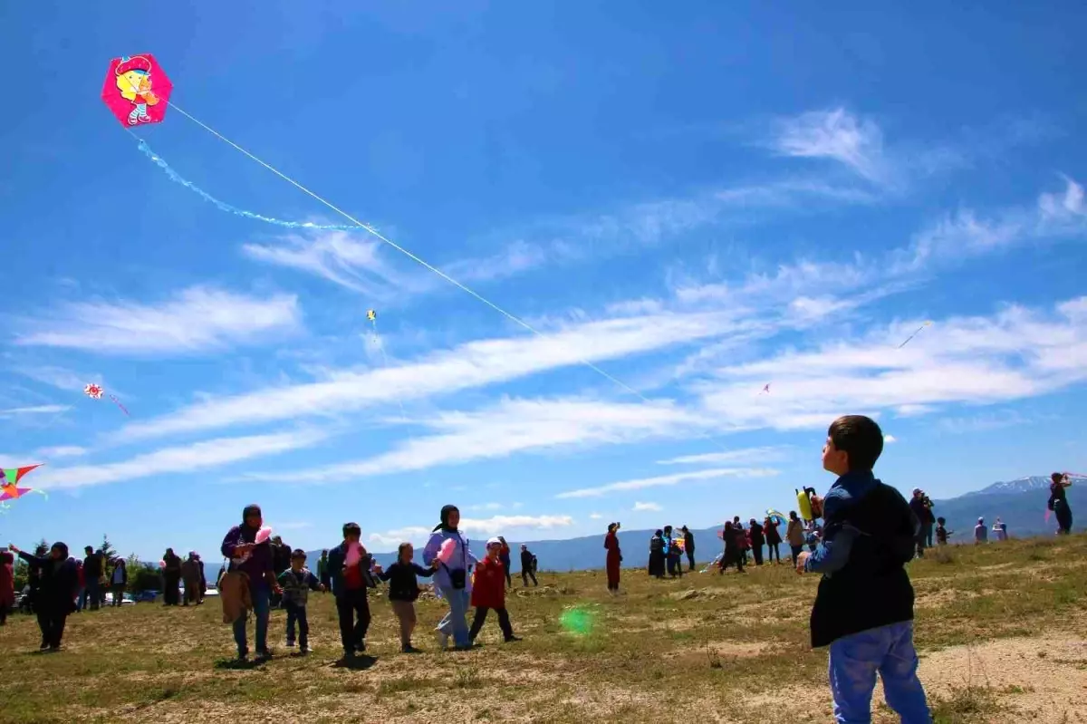 Elazığ\'da \'Engelsiz Uçurtma Şenliği\' renkli görüntülere sahne oldu