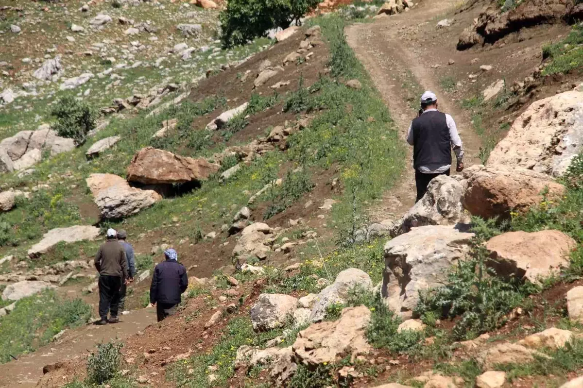 Gabar Dağı\'nda iki gündür kayıp olan vatandaşı bulma çalışmaları devam ediyor