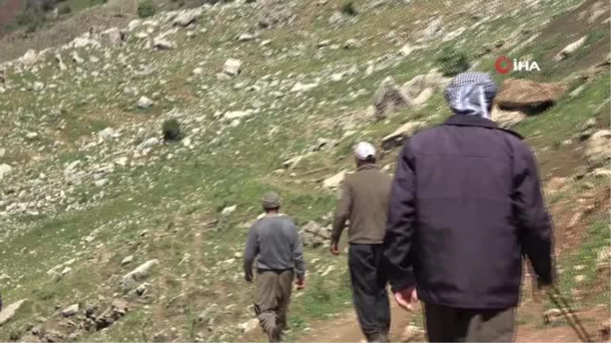Gabar Dağı\'nda iki gündür kayıp olan vatandaşı arama çalışmaları sürüyor