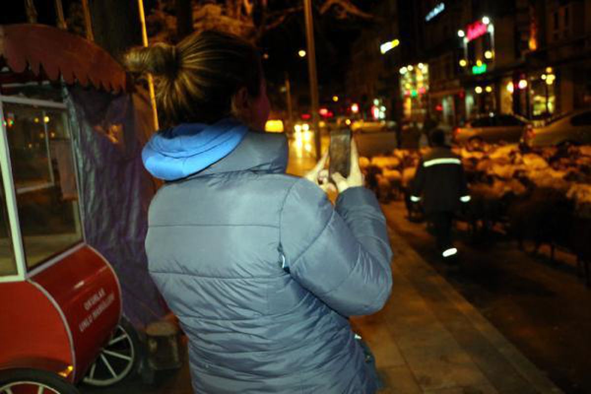 KOYUN SÜRÜSÜNÜN CADDEDEN GEÇİŞİ İLGİNÇ GÖRÜNTÜLER OLUŞTURDU