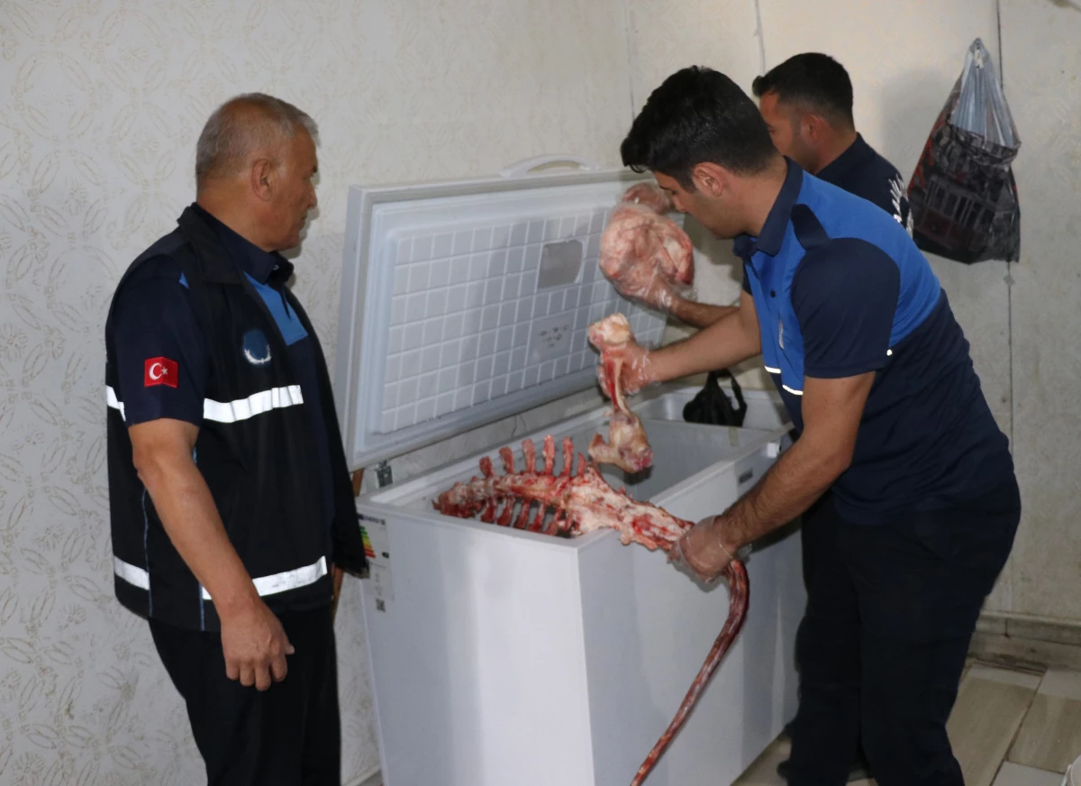 Şanlıurfa\'da bir ton 250 kilo bozuk et ele geçirildi