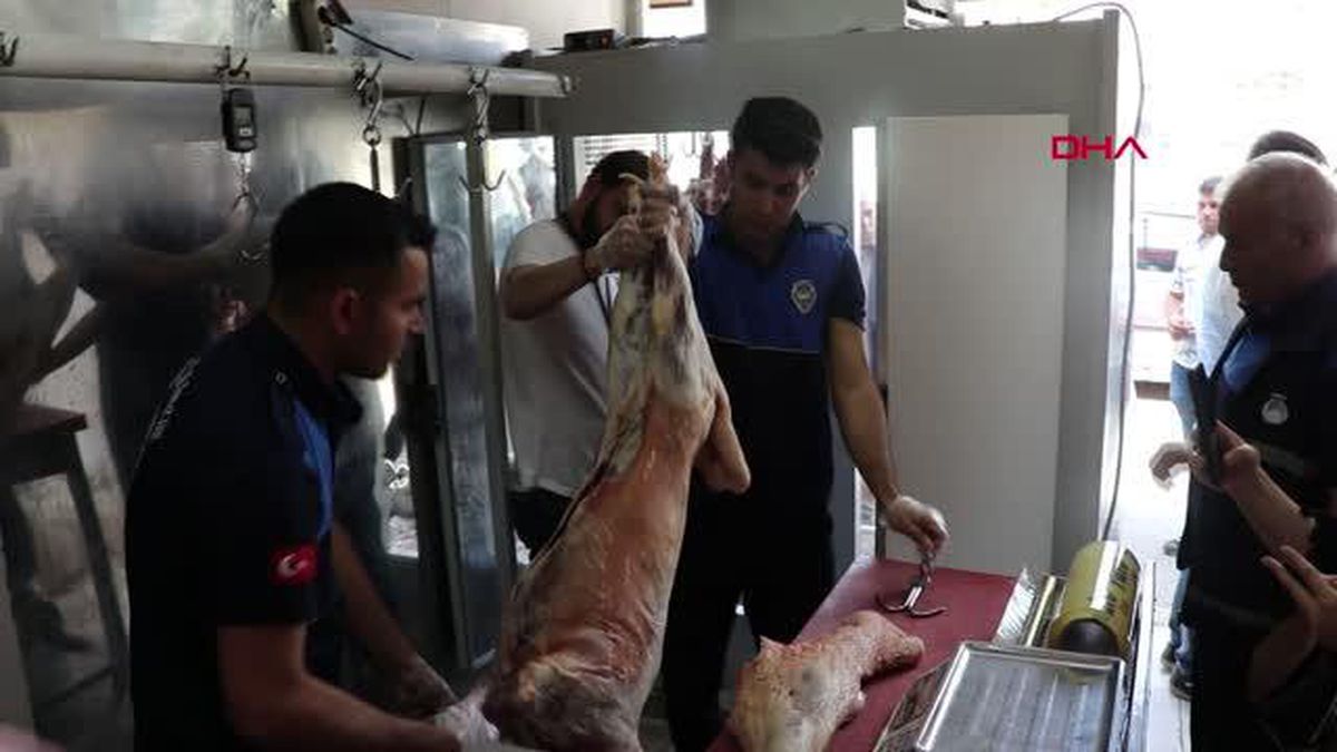 ŞANLIURFA'DA, KASAPTA 1 TON 250 KİLO BOZUK ET ELE GEÇTİ