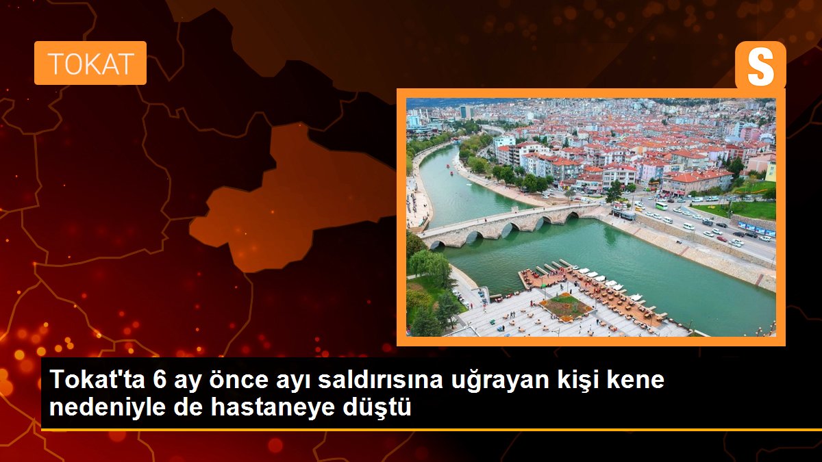 Tokat\'ta 6 ay önce ayı saldırısına uğrayan kişi kene nedeniyle de hastaneye düştü
