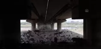 YENİ DELHİ - Hindistan'da sıcak hava???????