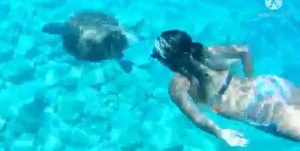 ANNE VE KIZI CARETTA CARETTA İLE YÜZDÜ, BABA O ANLARI GÖRÜNTÜLEDİ